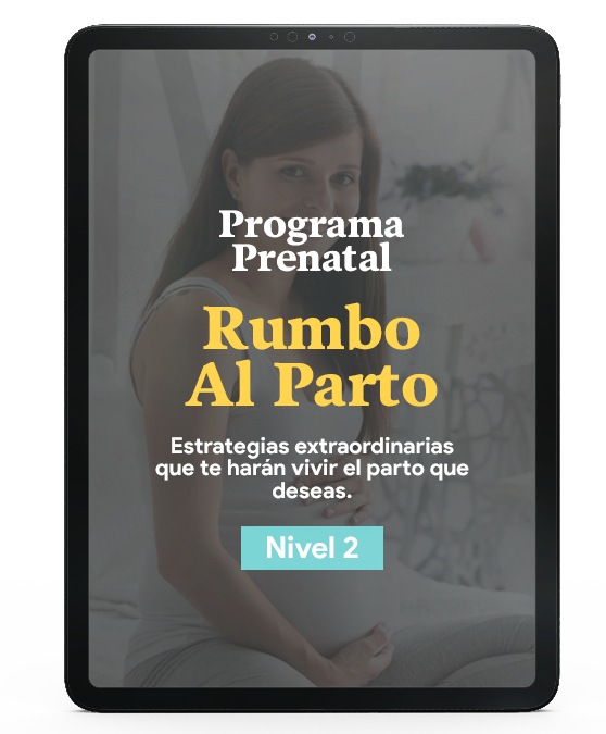 Programa Rumbo Al Parto Nivel 1 Medio