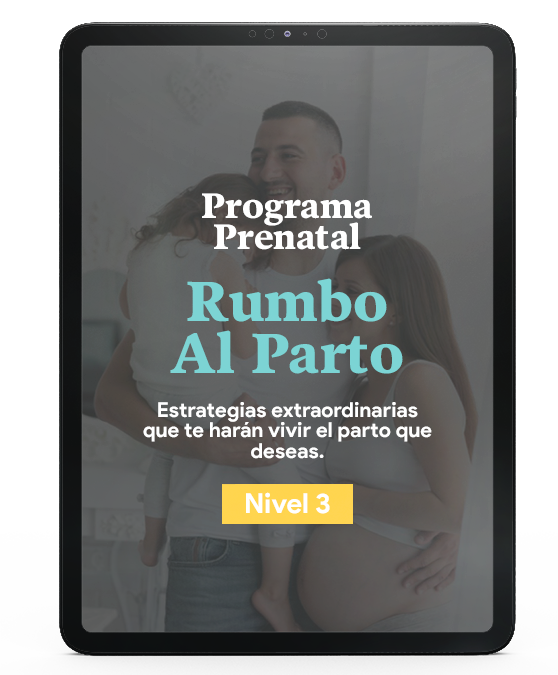 Programa Rumbo Al Parto Nivel 1 Premium